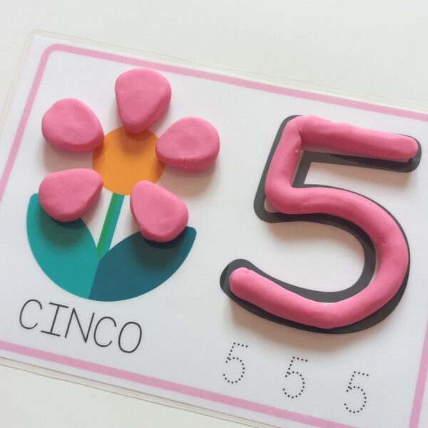 Flores matemáticas